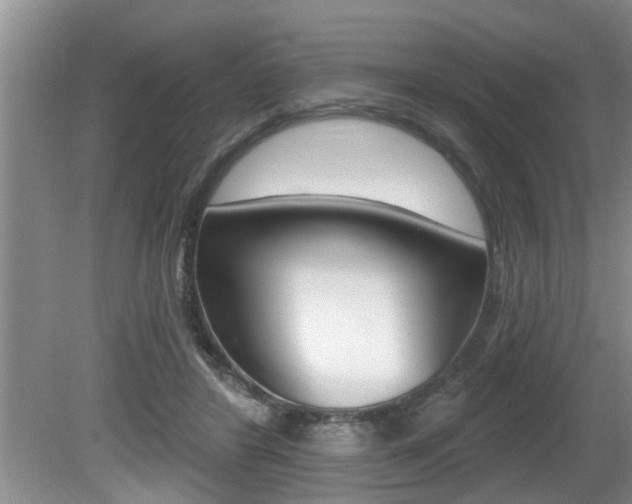 X0000080670404200612150806