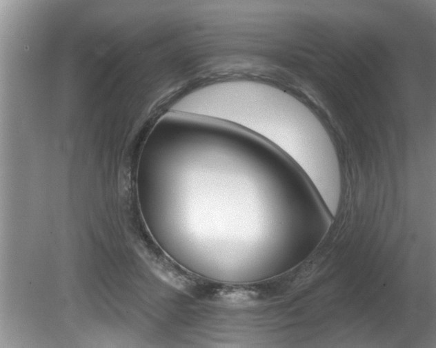 X0000080670407200612150806