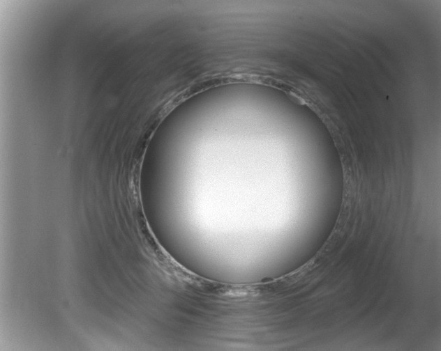 X0000080670415200612150806