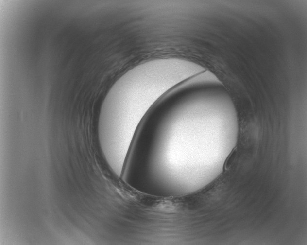 X0000080670416200612150806