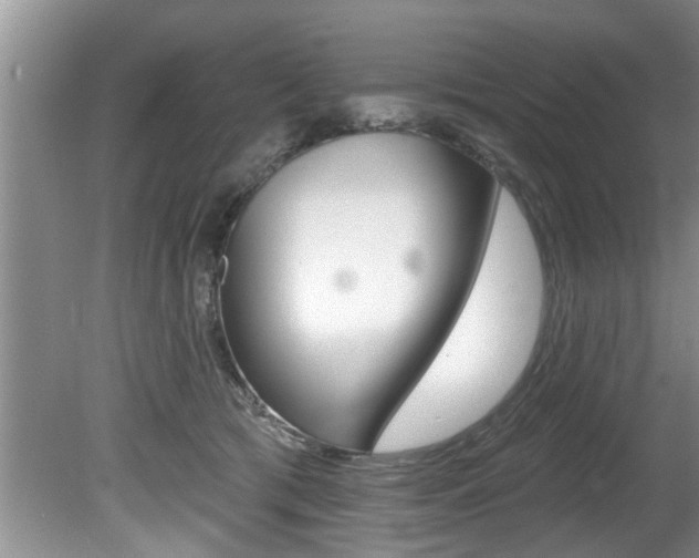 X0000080670417200612150806