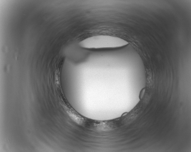X0000080670430200612150806