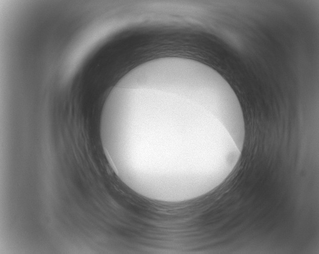 X0000080670431200612150806