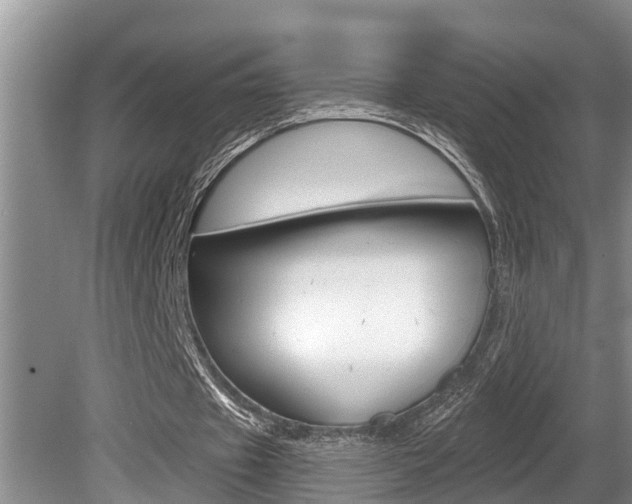 X0000080670433200612150805
