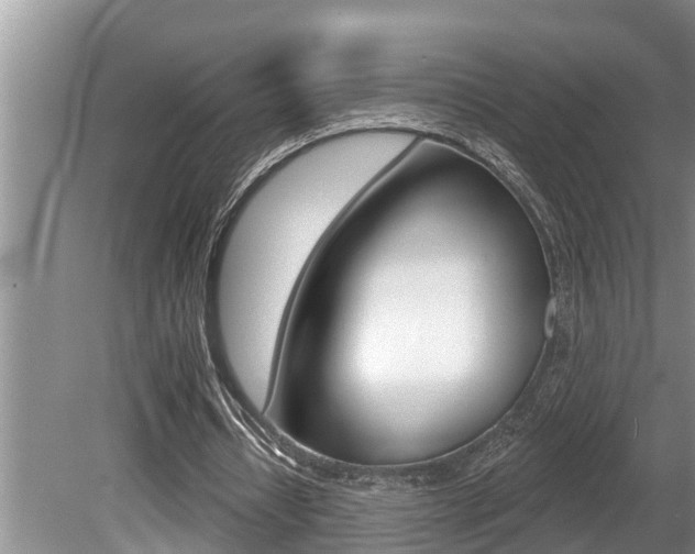 X0000080670434200612150805