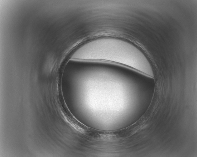 X0000080670446200612150805