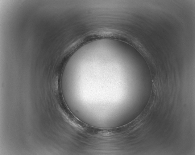 X0000080670454200612150805
