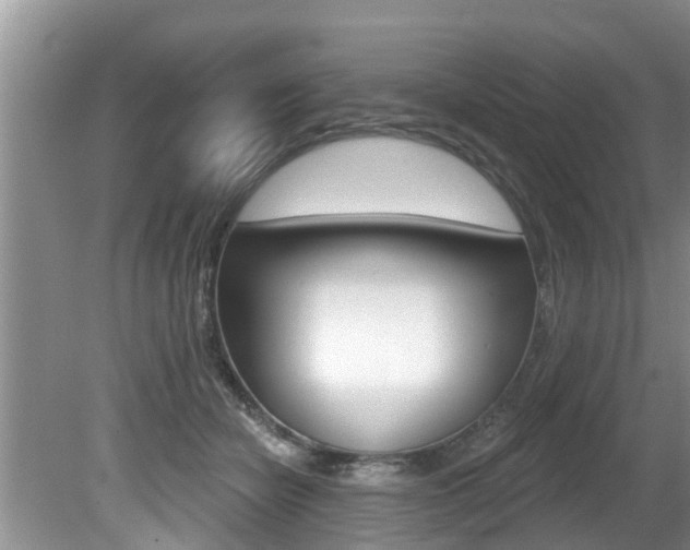 X0000080670462200612150806
