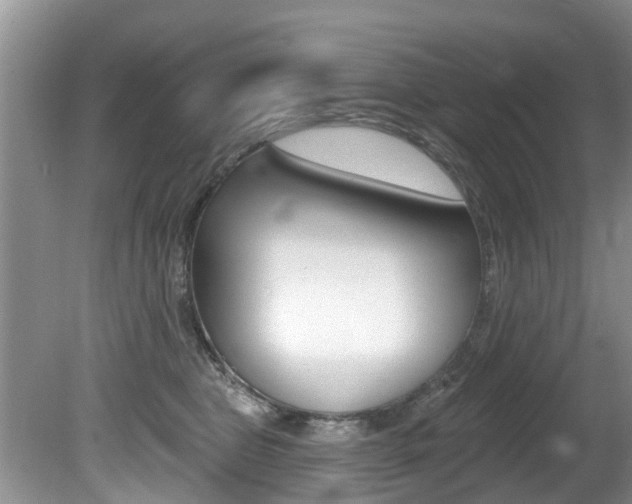 X0000080670469200612150806