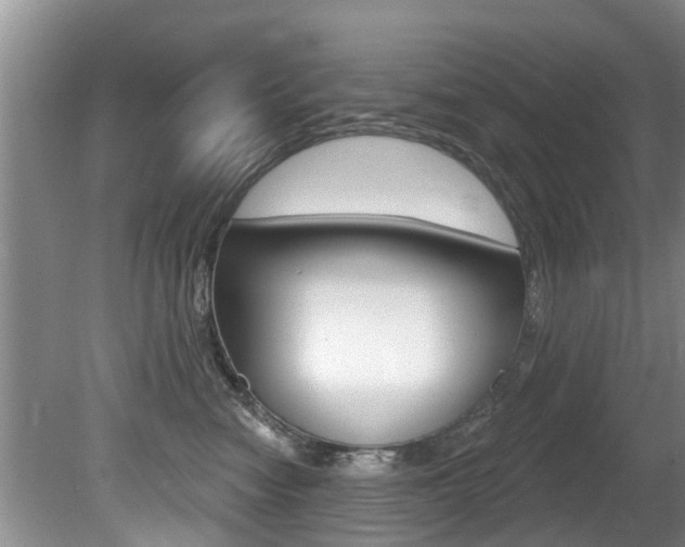 X0000080670474200612150806