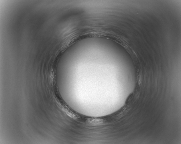 X0000080670476200612150806