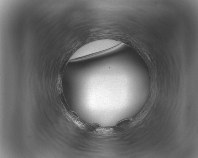 X0000080670480200612150806