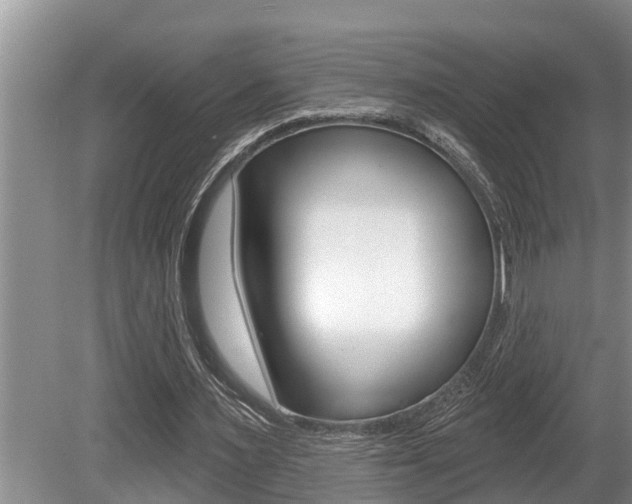 X0000080670483200612150805