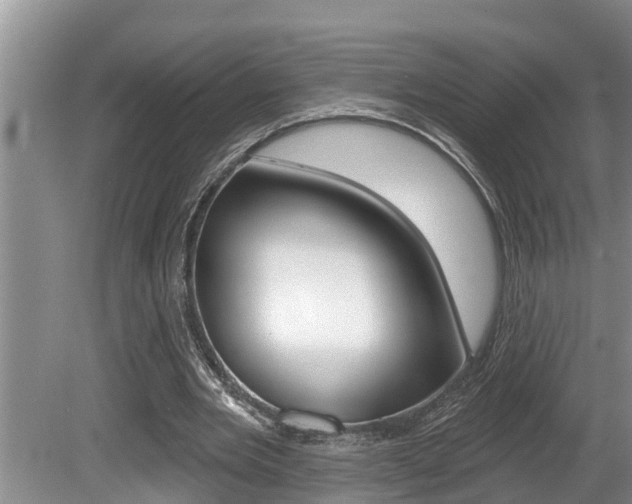X0000080670485200612150805
