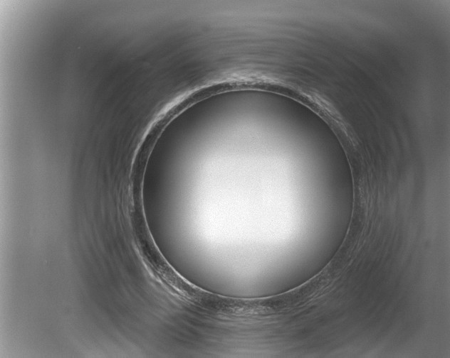 X0000080670488200612150805