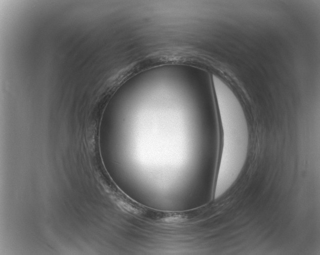 X0000080670505200612150805