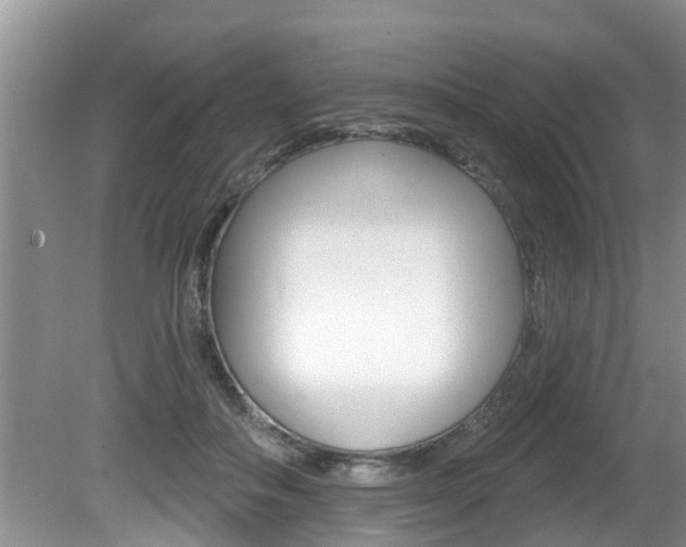 X0000080670506200612150805