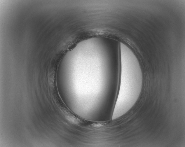 X0000080670509200612150805