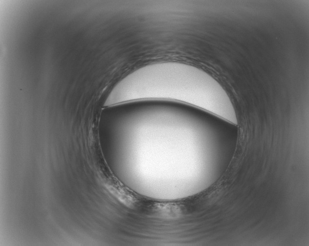X0000080670520200612150804