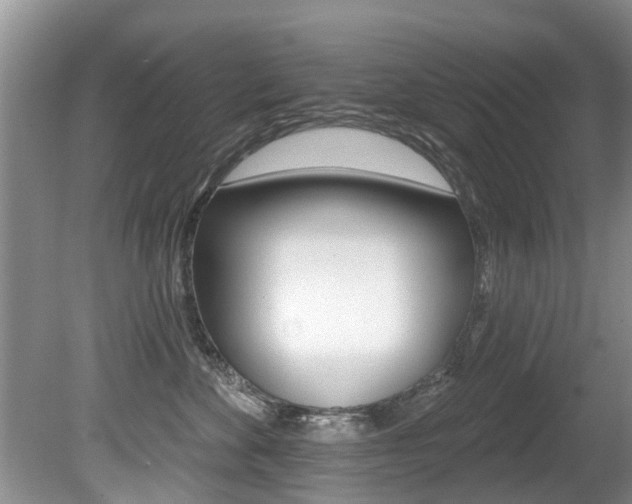 X0000080670524200612150804
