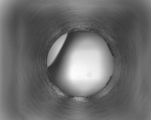 X0000080670528200612150804