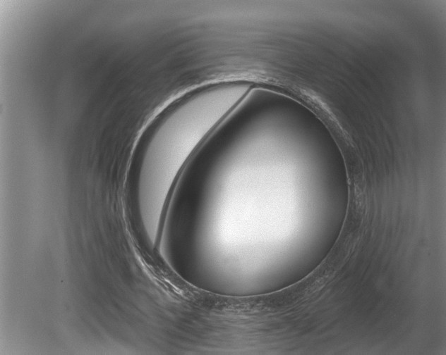 X0000080670532200612150804