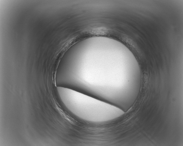 X0000080670541200612150804
