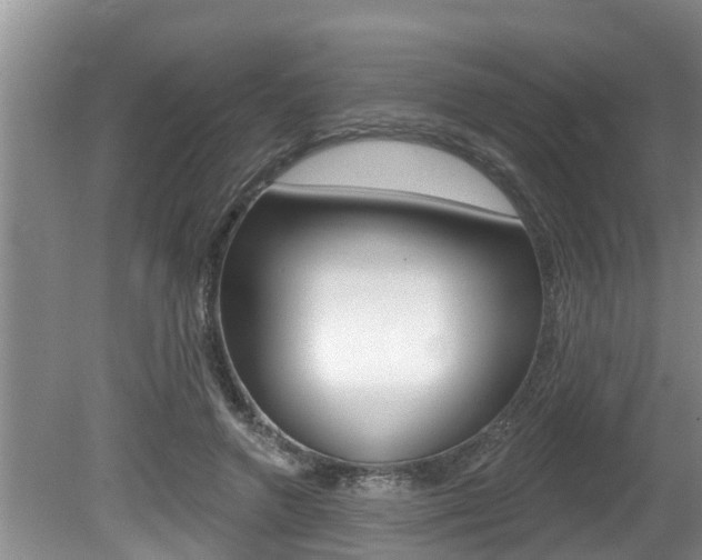 X0000080670546200612150804