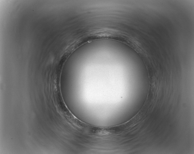 X0000080670547200612150804
