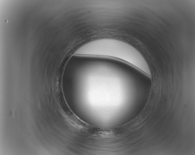 X0000080670552200612150804