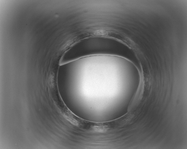 X0000080670556200612150804