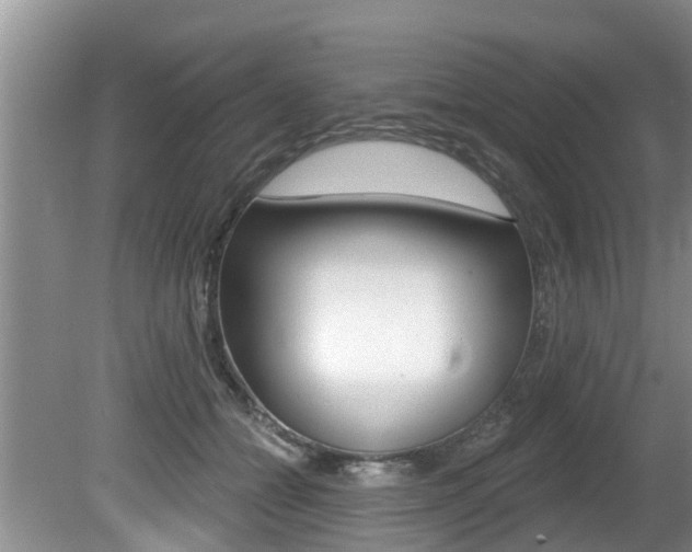 X0000080670558200612150804