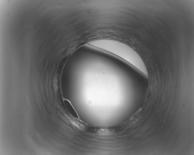 X0000080670562200612150804