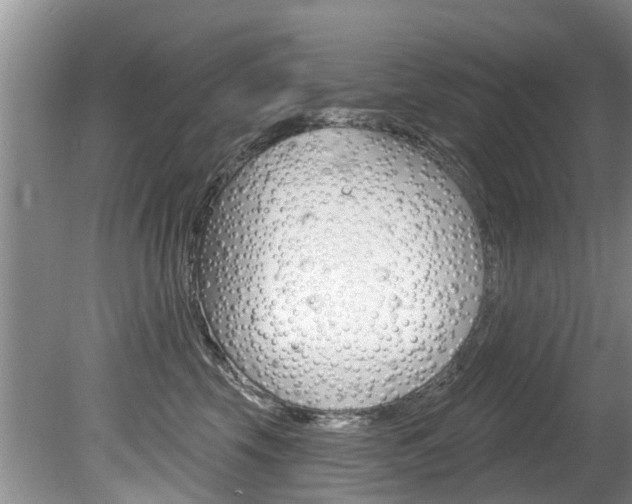 X0000080670569200612150804