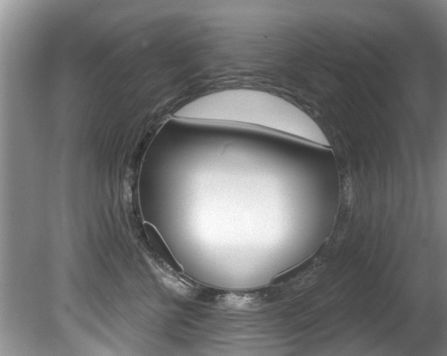 X0000080670570200612150804