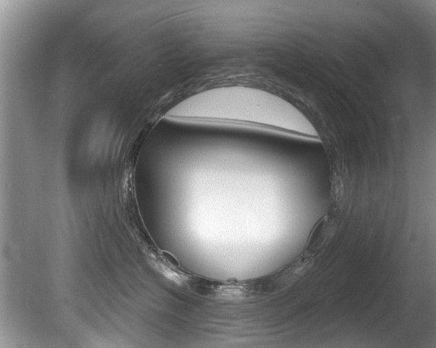 X0000080670574200612150804