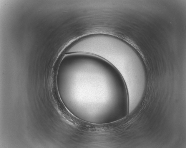 X0000080670580200612150803