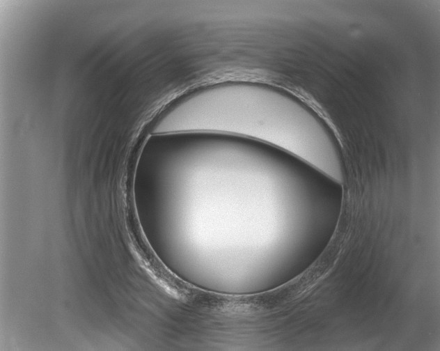 X0000080670581200612150803