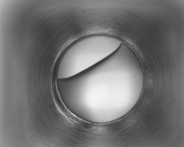 X0000080670582200612150803