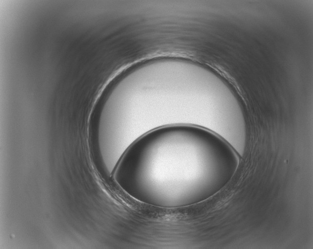 X0000080670584200612150803