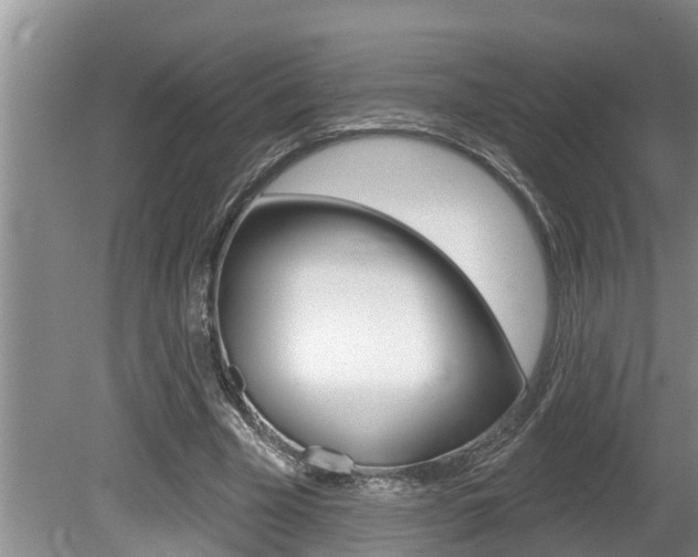 X0000080670585200612150803