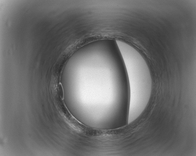 X0000080670593200612150803