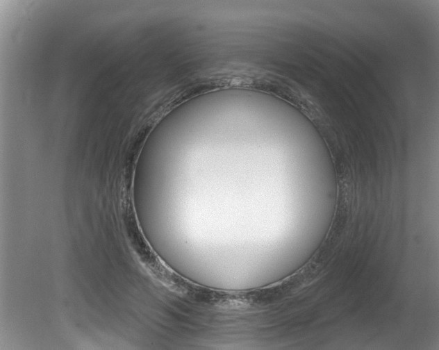 X0000080670594200612150803