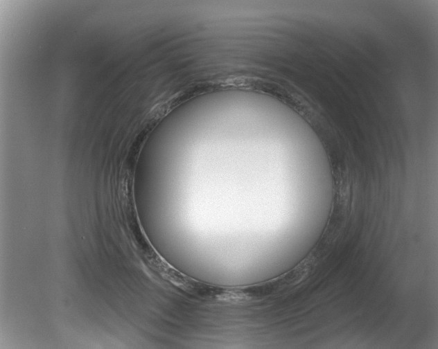 X0000080670603200612150803