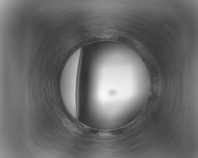 X0000080670605200612150803