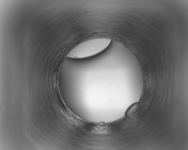 X0000080670606200612150803