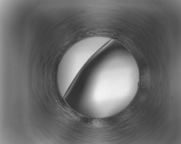 X0000080670608200612150803