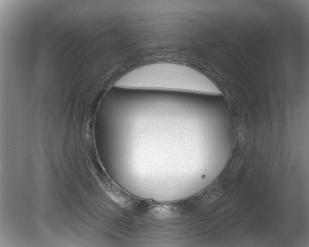 X0000080670611200612150803