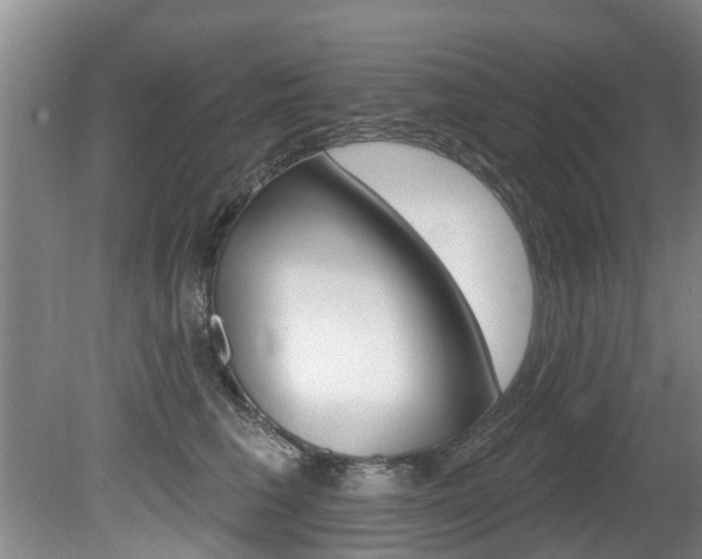 X0000080670613200612150803