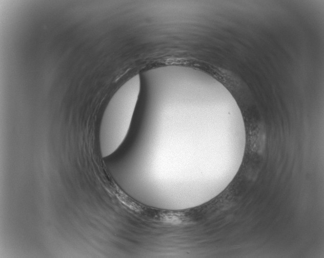 X0000080670618200612150803